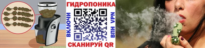 МЕГА как войти Киселёвск Canna-Cookies конопля