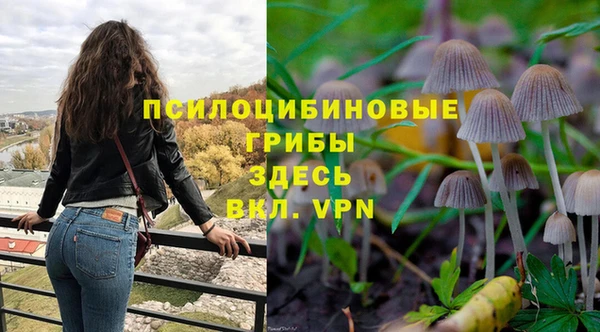 соль ск Арсеньев