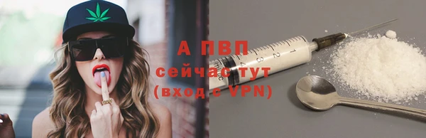 соль ск Арсеньев