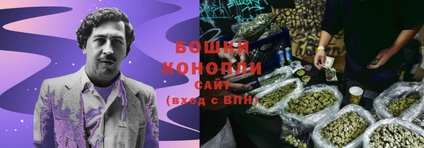 соль ск Арсеньев