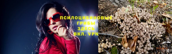 мескалин Баксан