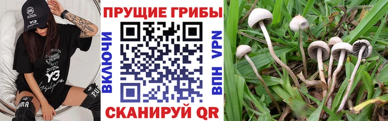 Галлюциногенные грибы мухоморы  Киселёвск 